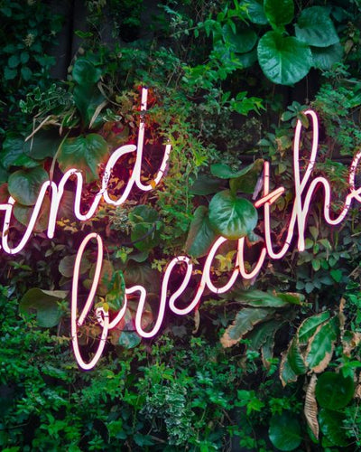 6 Amazing Habits You Can Add to Your Evening Routine